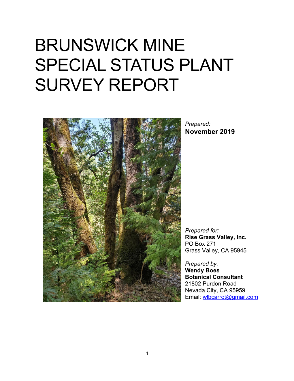 Special Status Plant Survey Report