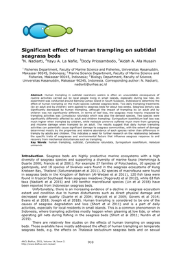 Significant Effect of Human Trampling on Subtidal Seagrass Beds 1N