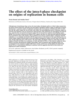 The Effect of the Intra-S-Phase Checkpoint on Origins of Replication in Human Cells