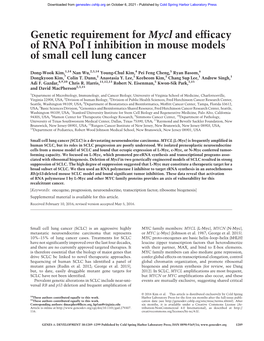 Genetic Requirement for Mycl and Efficacy of RNA Pol I Inhibition in Mouse Models of Small Cell Lung Cancer