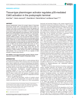 Tissue-Type Plasminogen Activator Regulates P35-Mediated Cdk5