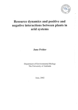 Resource Dynamics and Positive and Negative Interactions Between Plants in Arid Systems