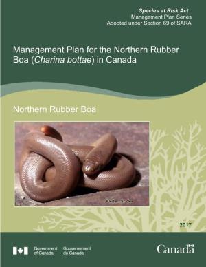 Northern Rubber Boa (Charina Bottae) in Canada