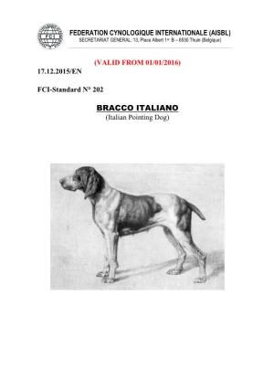 BRACCO ITALIANO (Italian Pointing Dog)