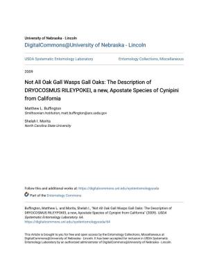 Not All Oak Gall Wasps Gall Oaks: the Description of DRYOCOSMUS RILEYPOKEI, a New, Apostate Species of Cynipini from California