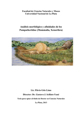 Análisis Morfológico Y Afinidades De Los Pampatheriidae (Mammalia, Xenarthra)