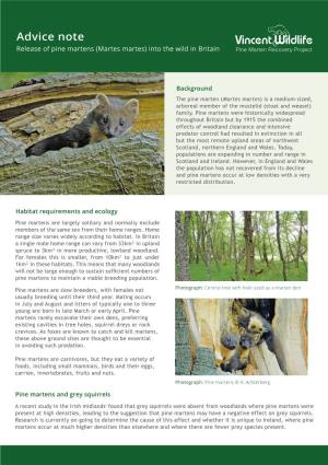 See the Vincent Wildlife Trust's Advice Note on Releasing Pine Martens In