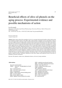 Beneficial Effects of Olive Oil Phenols on the Aging Process