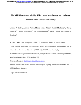 The NEDD8 Cycle Controlled by NEDP1 Upon DNA Damage Is a Regulatory