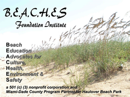 Haulover Beachbeach Parkpark Naturist (Clothing-Optional) Beach Areas at FL State Parks