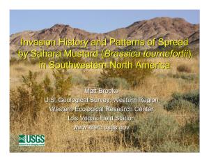Saharan Mustard Invasion History and Patterns of Spread