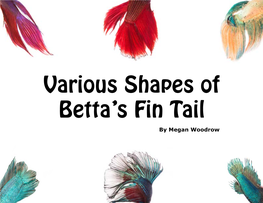 Various Shapes of Betta's Fin Tail