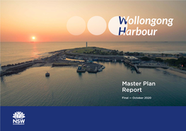 Wollongong Harbour Master Plan Report October 2020