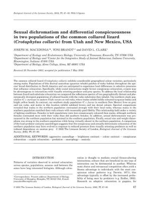 Sexual Dichromatism and Differential Conspicuousness in Two Populations of the Common Collared Lizard (Crotaphytus Collaris) from Utah and New Mexico, USA