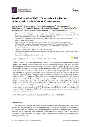 Small Nucleolar Rnas Determine Resistance to Doxorubicin in Human Osteosarcoma