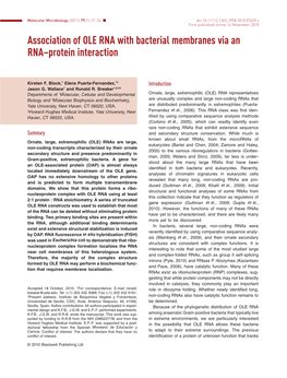 Association of OLE RNA with Bacterial Membranes Via an Rnaprotein