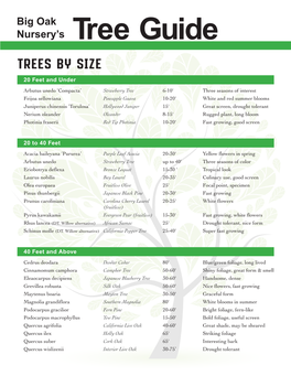 Tree Guide Trees by Size