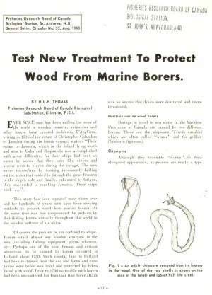 Test New Treatment to Protect Wood from Marine Borers