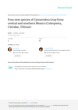 Four New Species of Cymatodera Gray from Central and Southern Mexico
