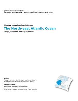 The North-East Atlantic Ocean - Huge, Deep and Heavily Exploited