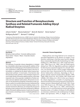 Structure and Function of Benzylsuccinate Synthase and Related Fumarate-Adding Glycyl Radical Enzymes