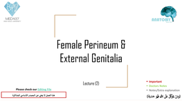 Female Perineum & External Genitalia