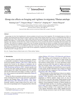 Group Size Effects on Foraging and Vigilance in Migratory Tibetan Antelope