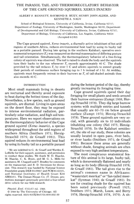 The Parasol Tail and Thermoregulatory Behavior of the Cape Ground Squirrel Xerus Inauius'