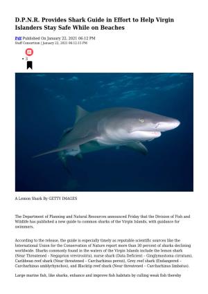 D.P.N.R. Provides Shark Guide in Effort to Help Virgin Islanders Stay Safe While on Beaches