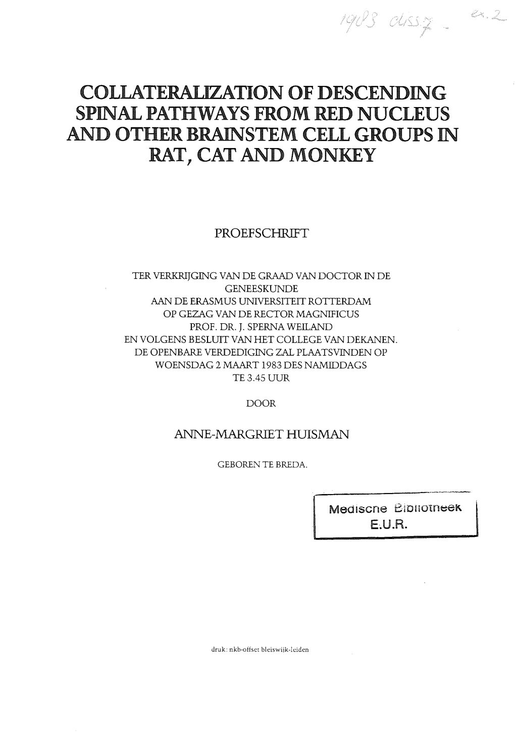 Collateralization of Descending Spinal Pathways from Red Nucleus and Other Brainstem Cell Groups in Rat, Cat and Monkey