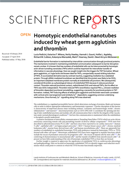 Homotypic Endothelial Nanotubes Induced by Wheat Germ Agglutinin and Thrombin Received: 8 February 2018 Lucia Pedicini, Katarina T