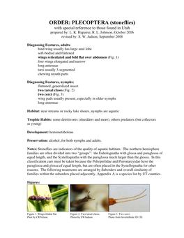 PLECOPTERA (Stoneflies) with Special Reference to Those Found in Utah Prepared By: L