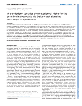 The Endoderm Specifies the Mesodermal Niche for the Germline in Drosophila Via Delta-Notch Signaling Tishina C