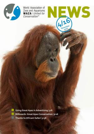 Great Apes Conservation | P 16 Thanks to Africam Safari | P 38 IIII WAZA 4/16 WAZA 4/16 1