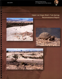 Upper Las Vegas Wash/ Tule Springs, Nevada Reconnaissance Report