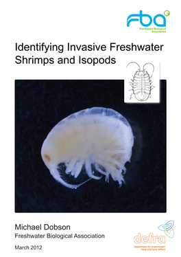 Identifying Invasive Freshwater Shrimps and Isopods