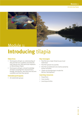 Stop the Spread: Tilapia Training Package