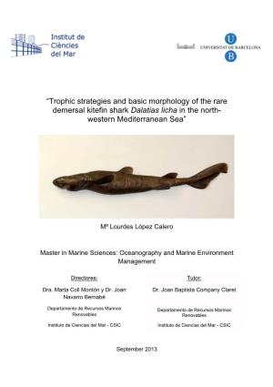 “Trophic Strategies and Basic Morphology of the Rare Demersal Kitefin Shark Dalatias Licha in the North- Western Mediterranean Sea”