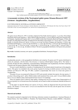 A Taxonomic Revision of the Neotropical Spider Genus Xiruana Brescovit 1997 (Araneae: Anyphaenidae, Anyphaeninae)