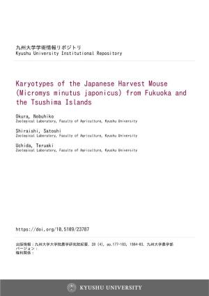 Karyotypes of the Japanese Harvest Mouse (Micromys Minutus Japonicus) from Fukuoka and the Tsushima Islands
