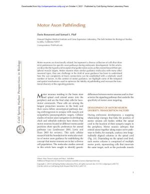 Motor Axon Pathfinding