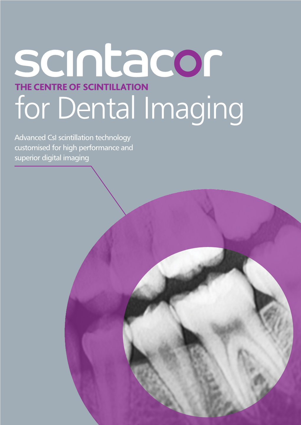 Dental Brochure