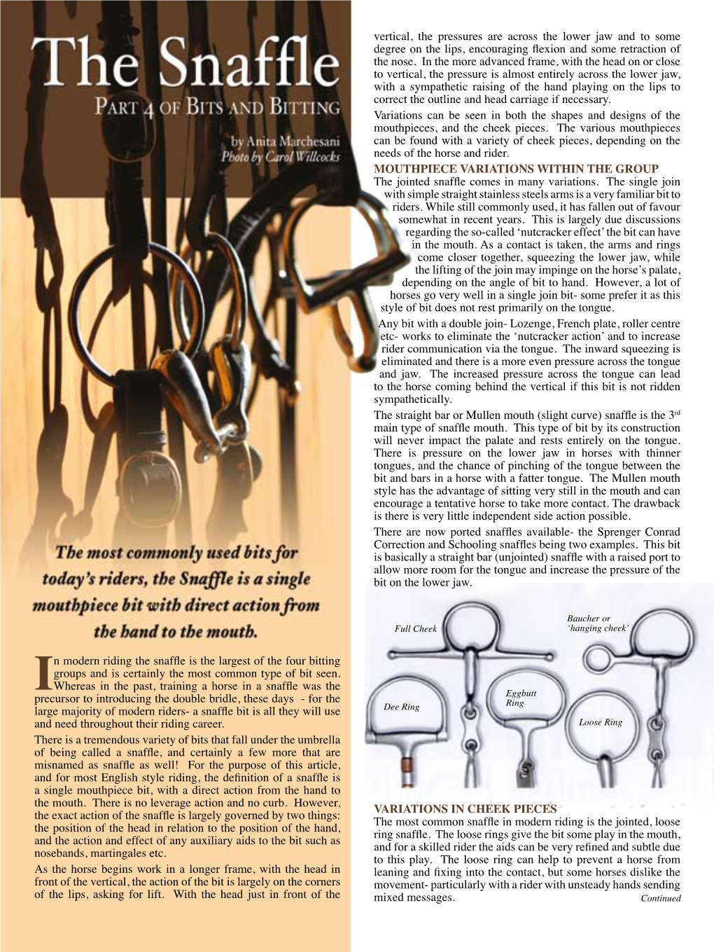 In Modern Riding the Snaffle Is the Largest of the Four Bitting Groups And