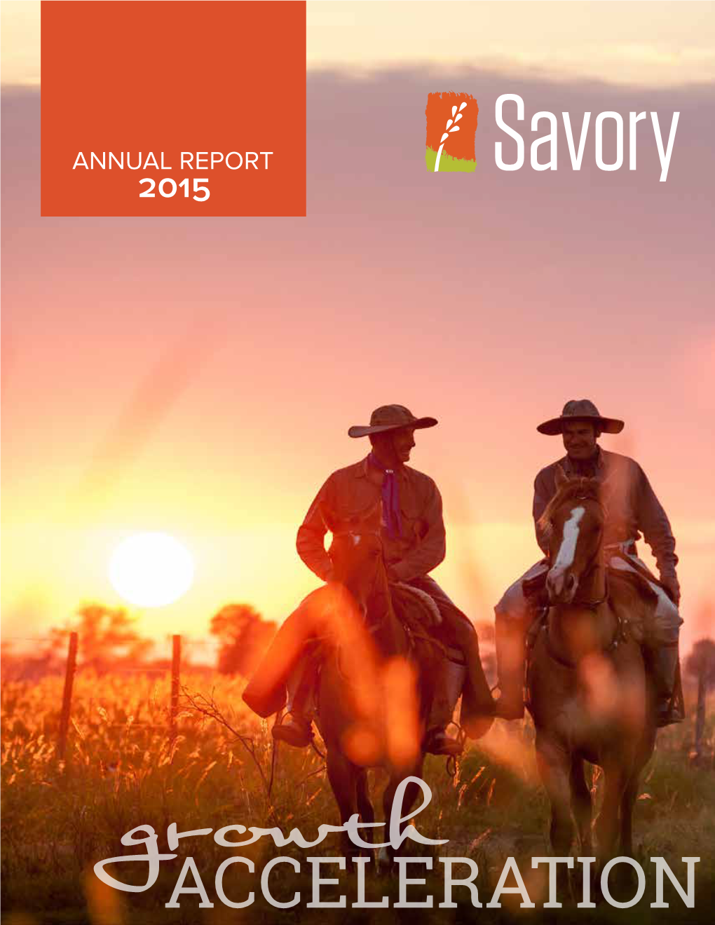 Annual Report (2015)