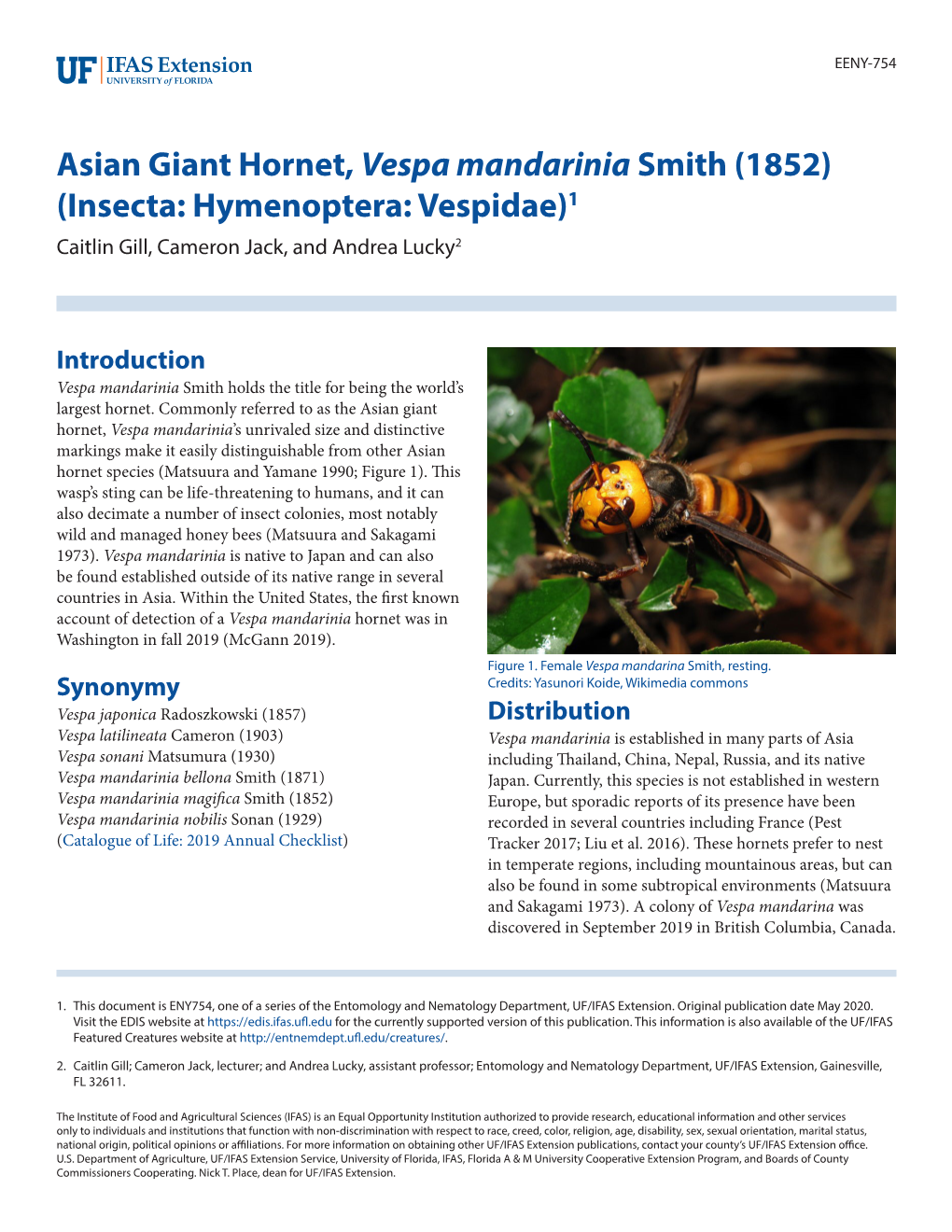 Asian Giant Hornet, Vespa Mandarinia Smith (1852) (Insecta: Hymenoptera: Vespidae)1 Caitlin Gill, Cameron Jack, and Andrea Lucky2