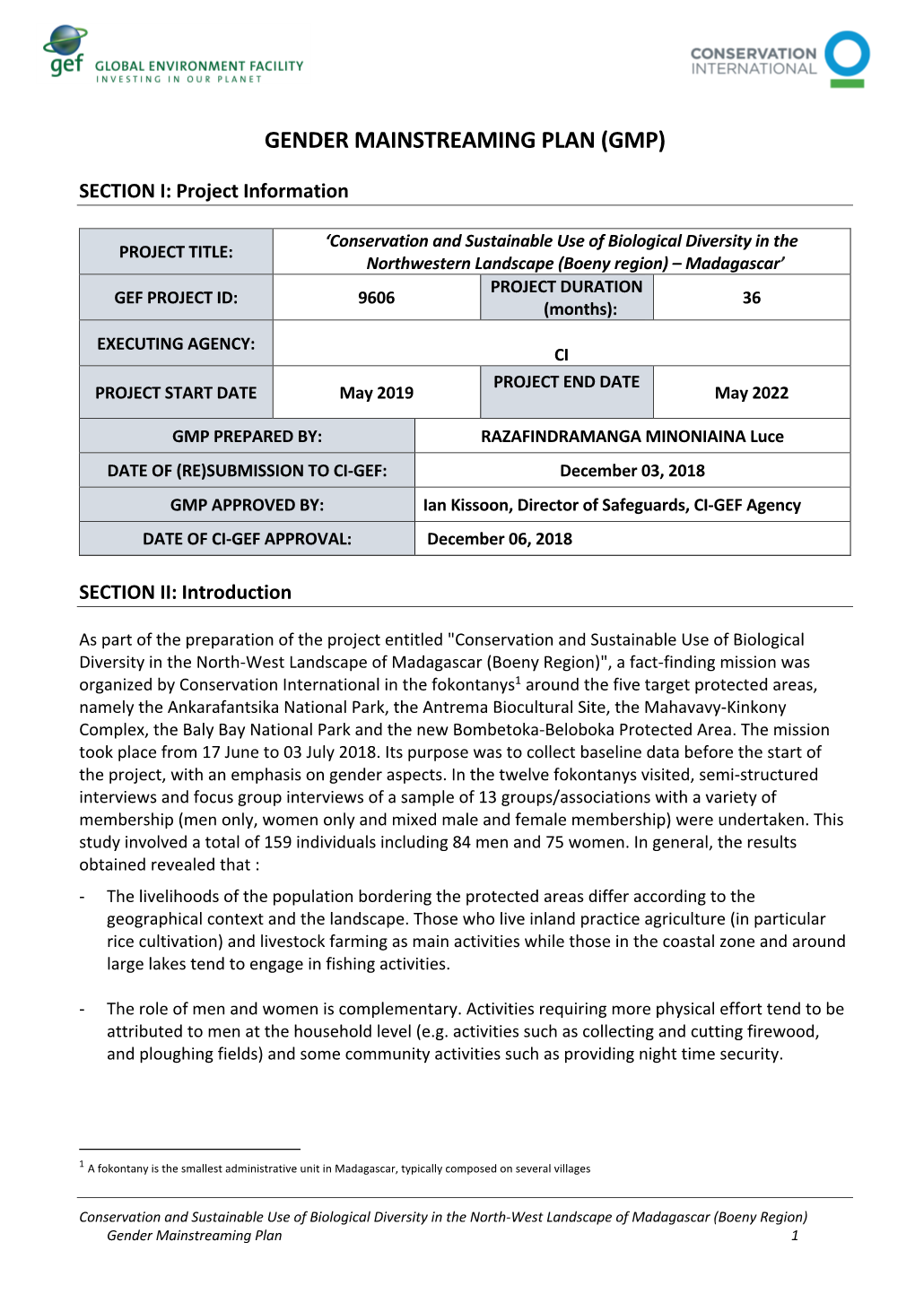 Gender Mainstreaming Plan (Gmp)