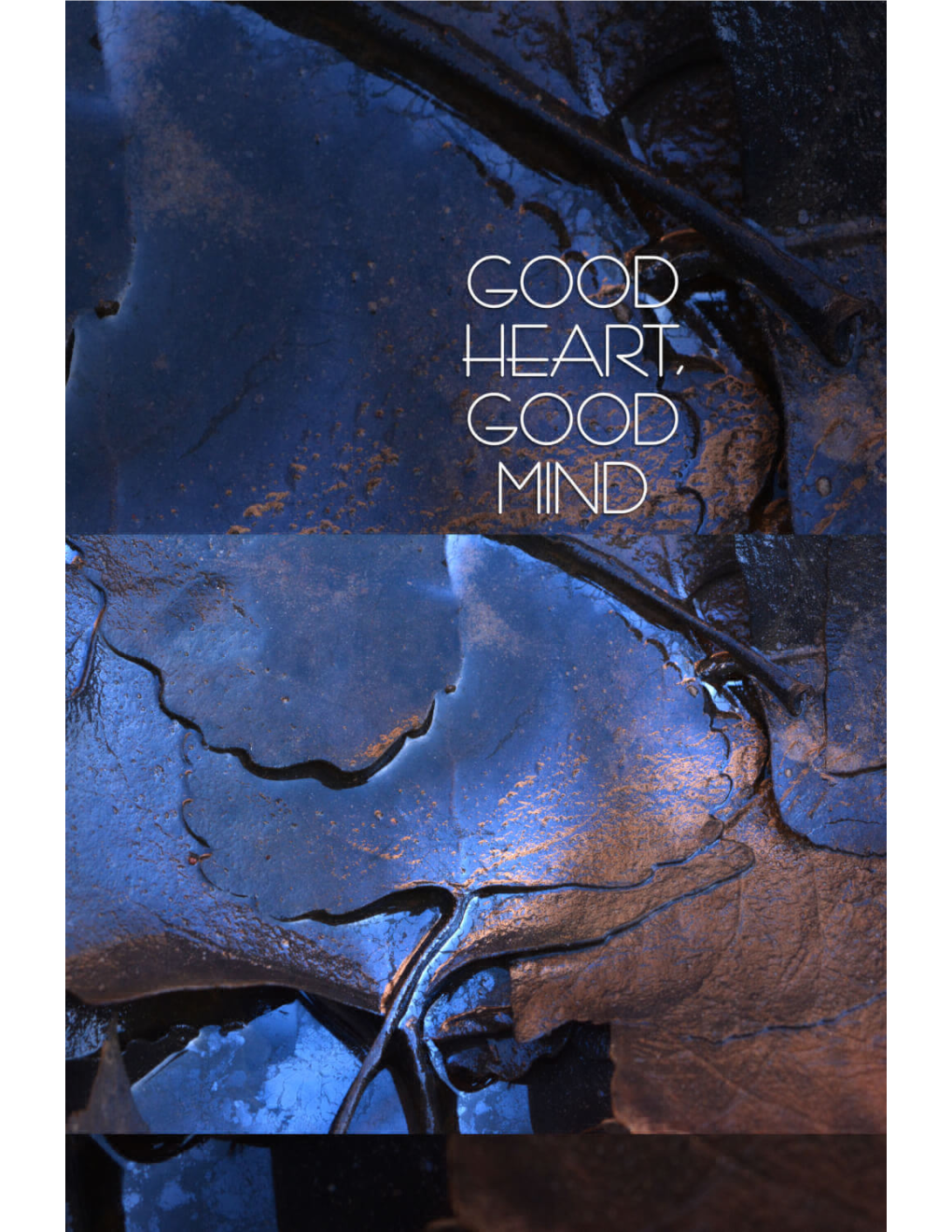 Good Heart, Good Mind : the Practice of the Ten Perfections