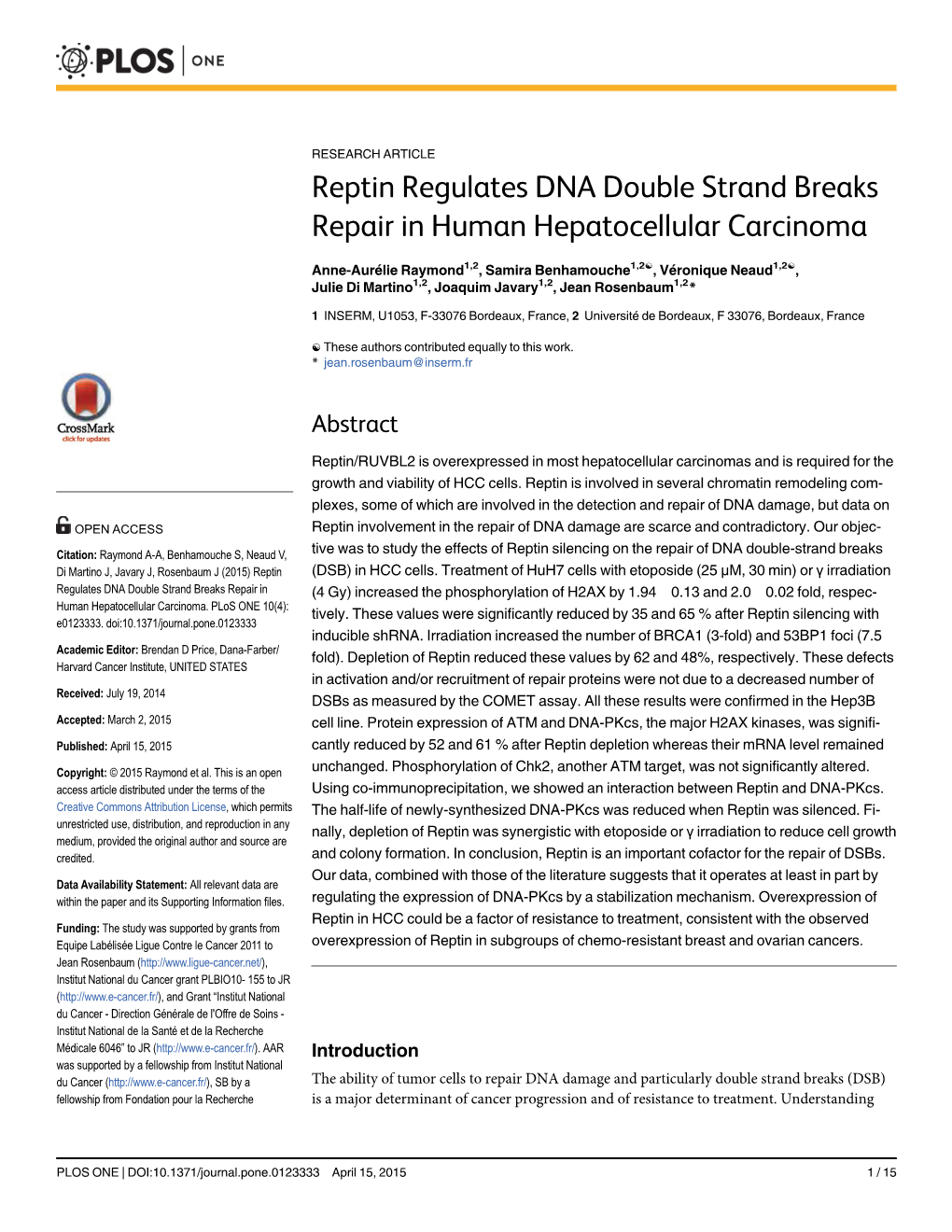 Reptin Regulates DNA Double Strand Breaks Repair in Human Hepatocellular Carcinoma