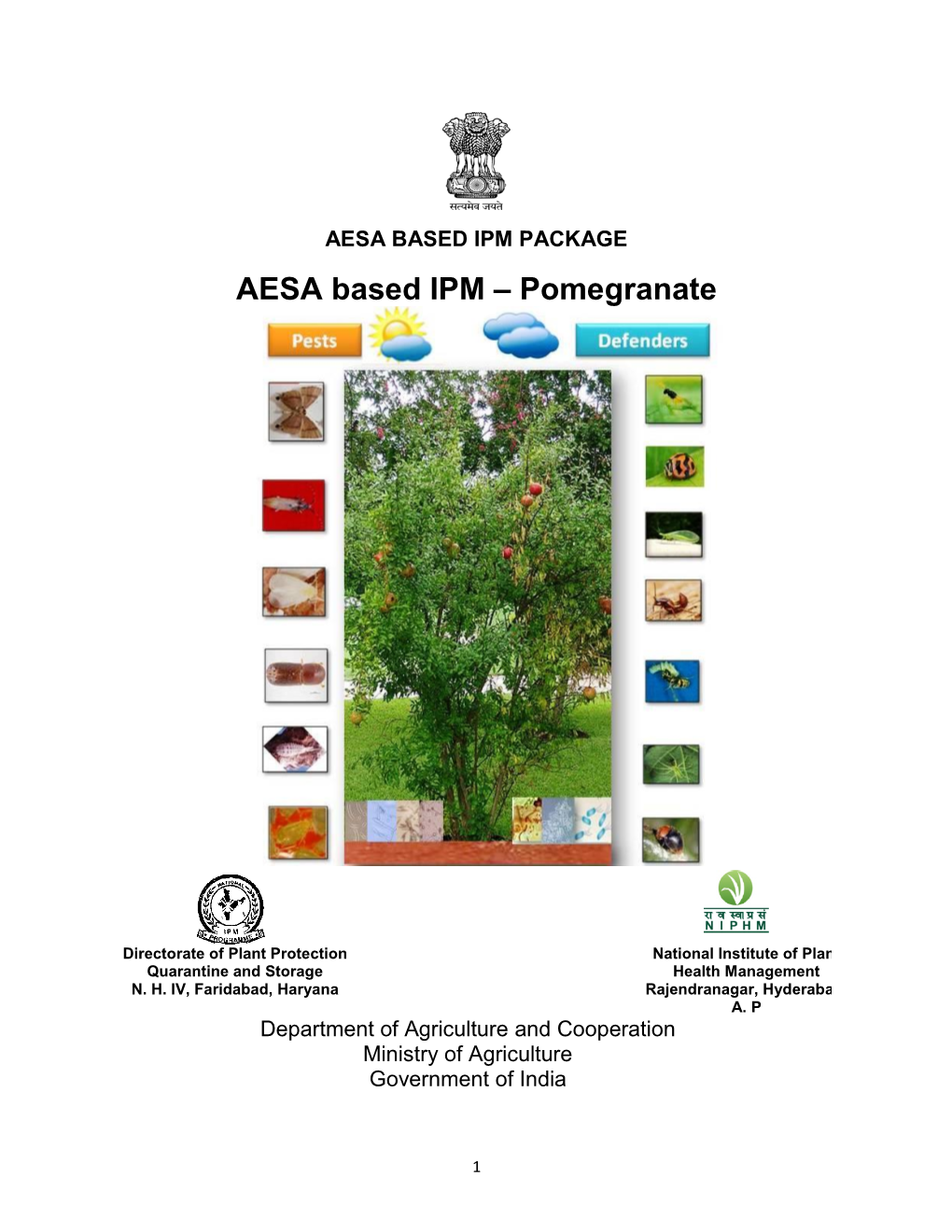 AESA Based IPM Pomegranate