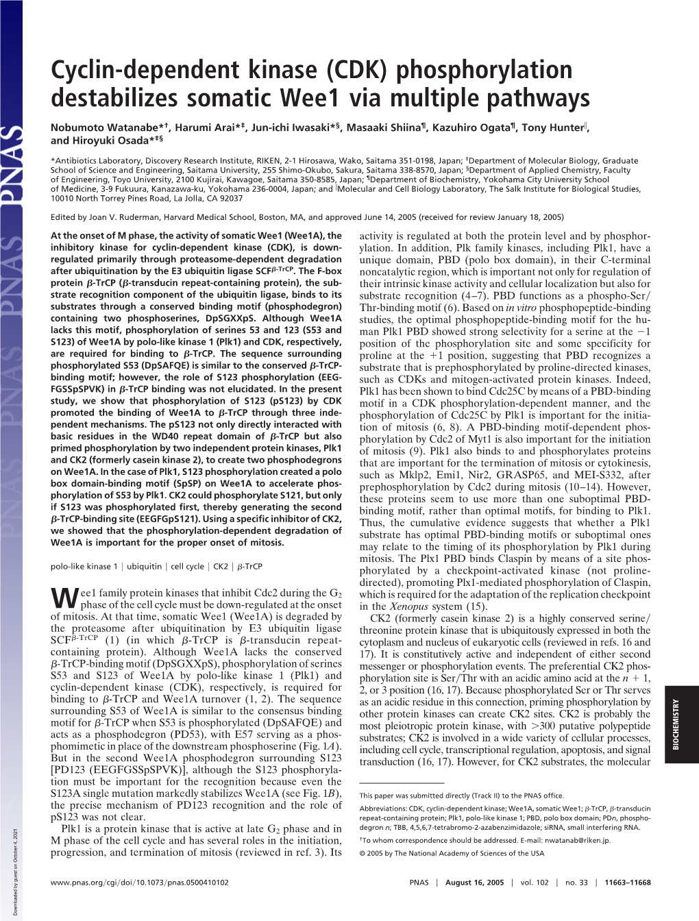 Cyclin-Dependent Kinase (CDK) Phosphorylation Destabilizes Somatic Wee1 Via Multiple Pathways